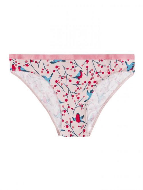Veselé dámské kalhotky Dedoles Ptáčci v jeřabině (D-W-UN-BB-C-C-919) XL