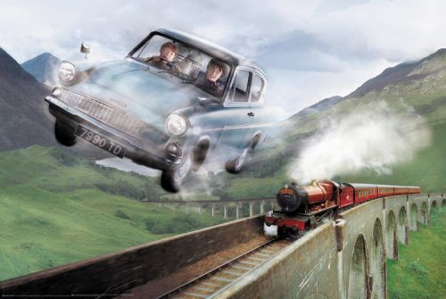 POSTERS Plakát, Obraz - Harry Potter - Ford, (91.5 x 61 cm)