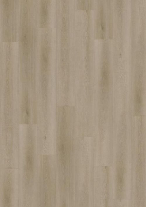 Oneflor Vinylová podlaha lepená ECO 55 052 Raw Oak Light Natural - Lepená podlaha Béžová