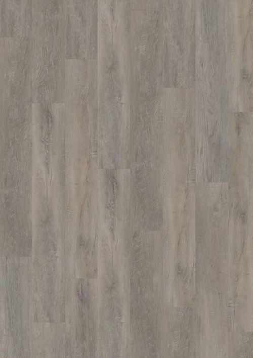 Oneflor Vinylová podlaha lepená ECO 55 056 Old Oak Greige - Lepená podlaha Šedá