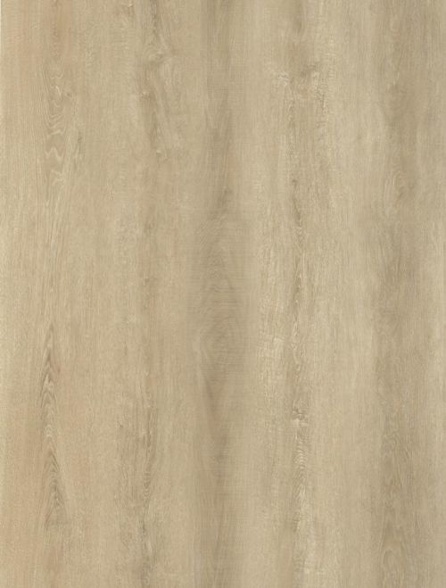 Oneflor Vinylová podlaha lepená ECO 30 074 Sawcut Oak Natural - Lepená podlaha Hnědá