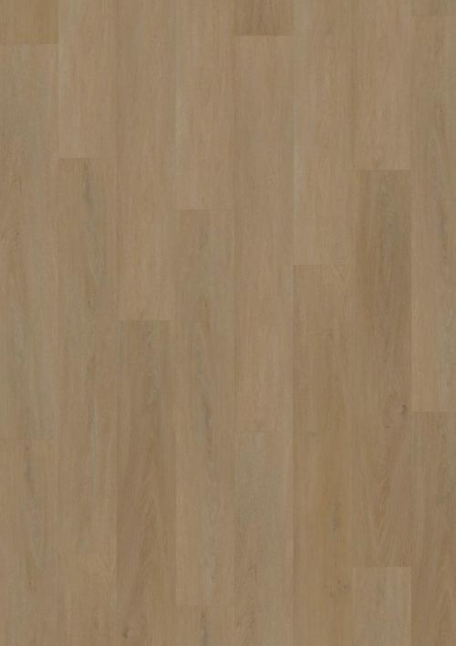 Oneflor Vinylová podlaha lepená ECO 55 064 English Oak Honey - Lepená podlaha Hnědá