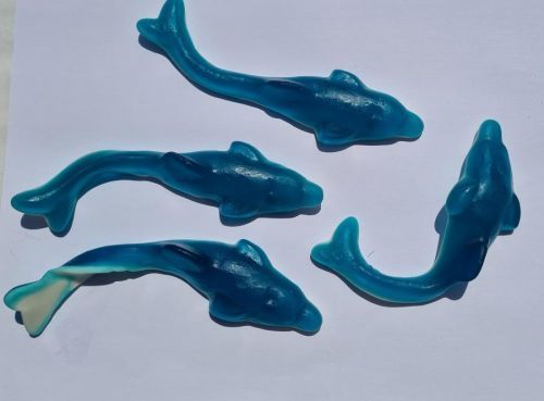 Veselá Veverka Obří delfín 1kg