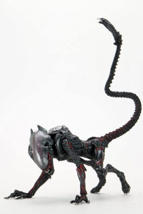 NECA | Aliens - sběratelská figurka Night Cougar Alien (Kenner Tribute) 25 cm