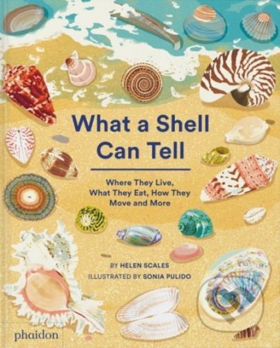 What A Shell Can Tell - Helen Scales, Sonia Pulido (ilustrátor)