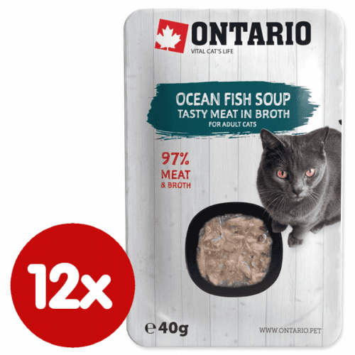 Ontario Cat Soup Ocean Fish with vegetables 12x40 g