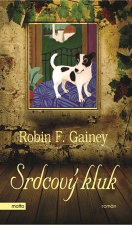 Srdcový kluk - Robin F. Gainey