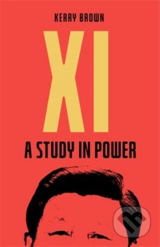 Xi : A Study in Power - Kerry Brown