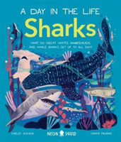 Sharks (A Day in the Life) - What Do Great Whites, Hammerheads, and Whale Sharks Get Up To All Day? (Neon Squid Carlee)(Pevná vazba)