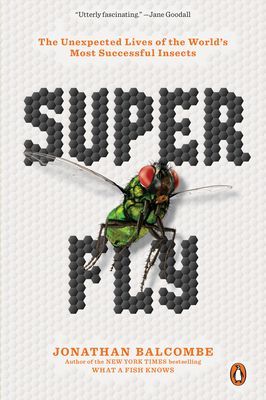 Super Fly: The Unexpected Lives of the World's Most Successful Insects (Balcombe Jonathan)(Paperback)