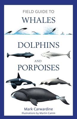 Field Guide to Whales, Dolphins and Porpoises (Carwardine Mark)(Paperback / softback)