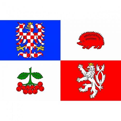 Samolepka vlajka krajská Vysočina (ČR) 10,5x14,8 cm 1 ks