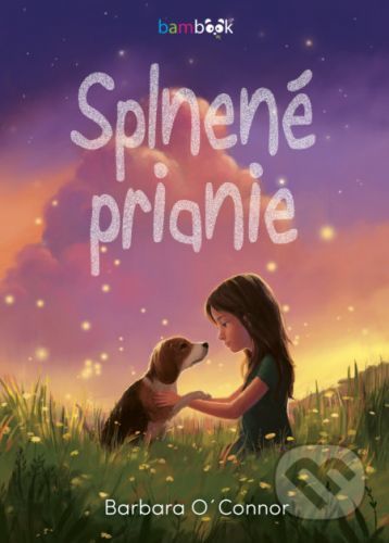 Splnené prianie - Barbara O ́Connor