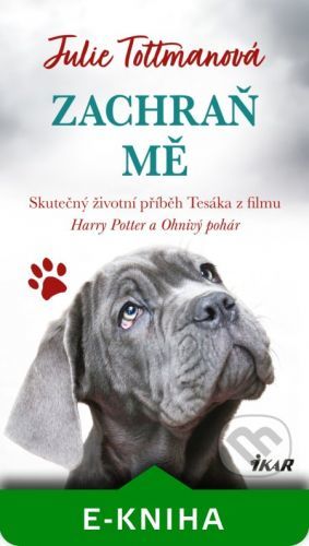 Zachraň mě - Julie Tottman