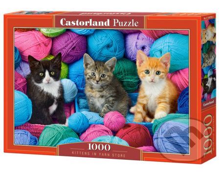 Kittens in Yarn Store - Castorland