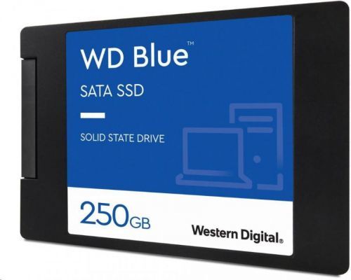 WD SSD 2,5