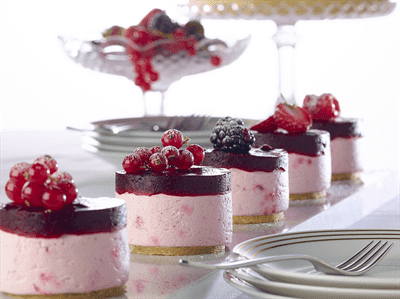 Přírodní ztužovač šlehačky lesní směs 100g