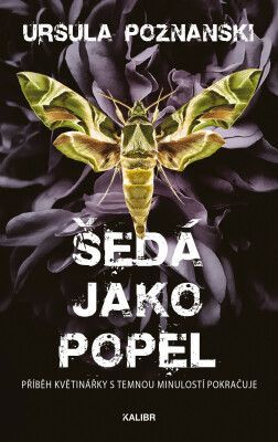 Šedá jako popel - Ursula Poznanski - e-kniha