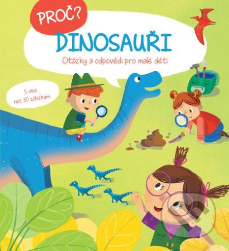 Proč? Dinosauři - YoYo Books