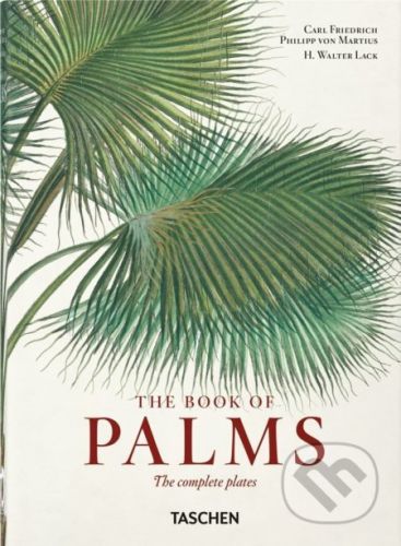 Martius. The Book of Palms - H. Walter Lack