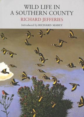 Wild Life in a Southern County (Jefferies Richard)(Paperback)