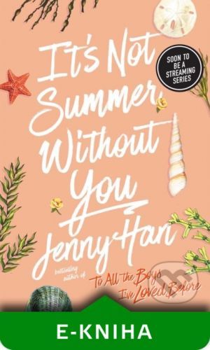 It's Not Summer Without You - Jenny Han