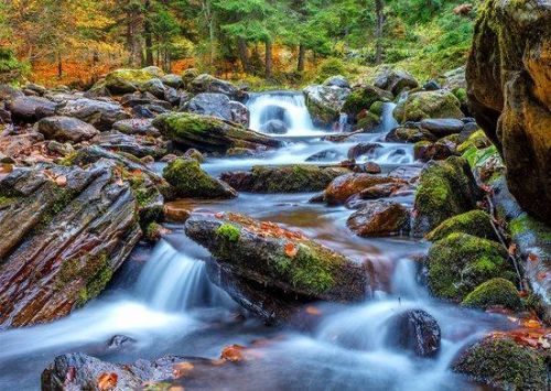 ENJOY Puzzle Lesní říčka na podzim 1000 dílků