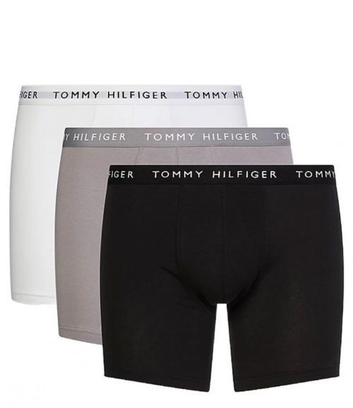 3PACK pánské boxerky Tommy Hilfiger vícebarevné (UM0UM02204 0TG) L