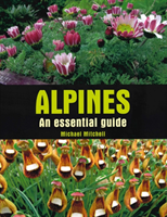 Alpines - An essential guide (Mitchell Michael)(Paperback / softback)