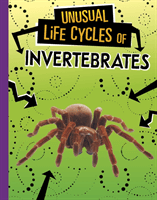 Unusual Life Cycles of Invertebrates (Jaycox Jaclyn)(Pevná vazba)