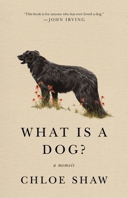 What Is a Dog? - A Memoir (Shaw Chloe)(Paperback)