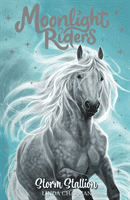 Moonlight Riders: Storm Stallion - Book 2 (Chapman Linda)(Paperback / softback)