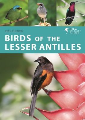 Birds of the Lesser Antilles (Chenery Ryan)(Paperback / softback)