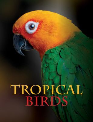 Tropical Birds (Jackson Tom)(Pevná vazba)