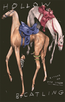 Hollow (Catling Brian)(Paperback / softback)