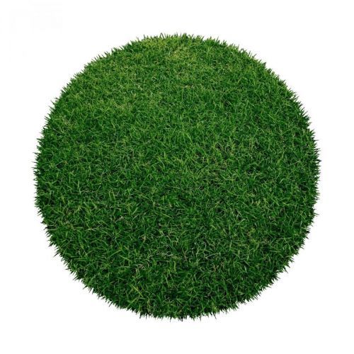 Lano - kvalitní umělé trávy a metráže Kruhový travní koberec Botanic - 200x200 (průměr) kruh cm Zelená