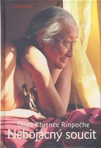 Nebojácný soucit - Vysvětlení Atíšova Sedmibodového výcviku mysli - Dilgo Khjence Rinpočhe