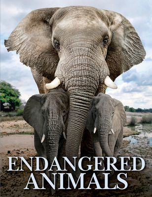 Endangered Animals (Jackson Tom)(Pevná vazba)