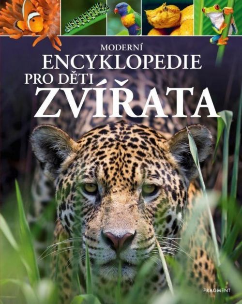Zvířata - Moderní encyklopedie pro děti - Michael Leach