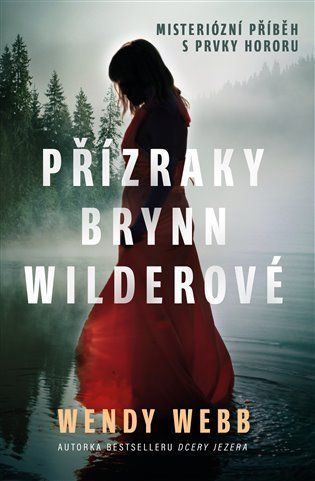 Přízraky Brynn Wilderové - Wendy Webb