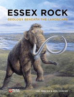 Essex Rock - Geology Beneath the Landscape (Mercer Ian)(Paperback / softback)