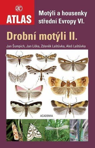 Drobní motýli II. - Motýli a housenky střední Evropy VI. - Aleš Laštůvka