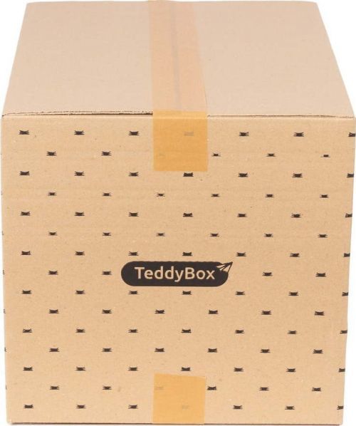 Sada 2 béžových úložných boxů Compactor Teddy, 42 x 30 cm
