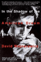 In the Shadow of the American Dream - The Diaries of David Wojnarowicz(Paperback)