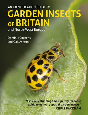 Identification Guide to Garden Insects of Britain and North-West Europe (Couzens Dominic)(Paperback / softback)