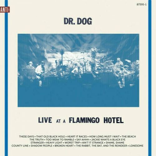 Dr. Dog Live At A Flamingo Hotel (2 LP)
