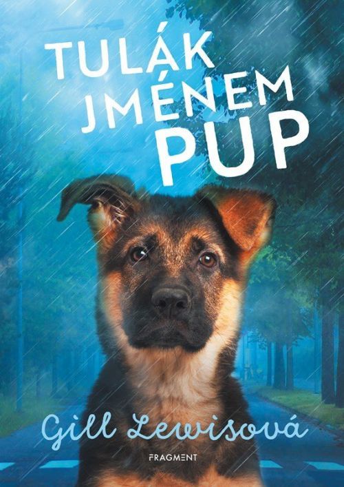Tulák jménem Pup - Gill Lewis