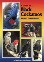 Guide to Black Cockatoos as Pet and Aviary Birds (Connors Neville)(Paperback)