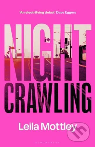 Nightcrawling - Leila Mottley