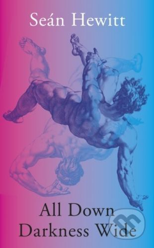 All Down Darkness Wide - Seán Hewitt